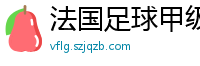 法国足球甲级联赛